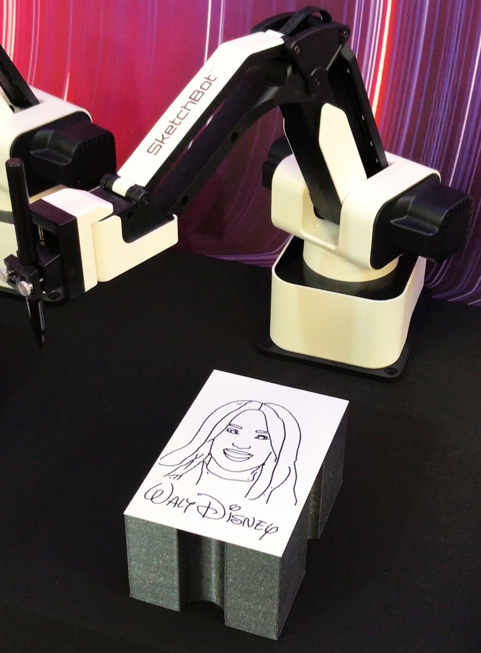 The Roaming Photo Booth